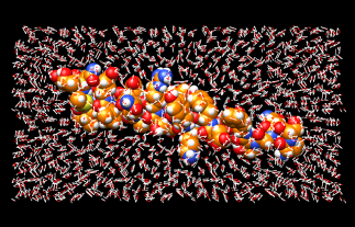 1gcn in solvent box