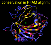 residue mavConservation (AL2CO)