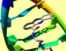 1x95 Nucleotides example